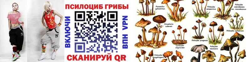 Галлюциногенные грибы мицелий  это телеграм  Новоульяновск 